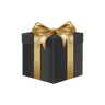 Mystery Gift